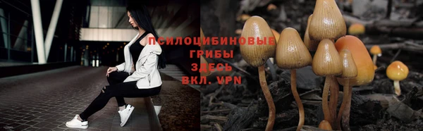 не бодяженный Богданович
